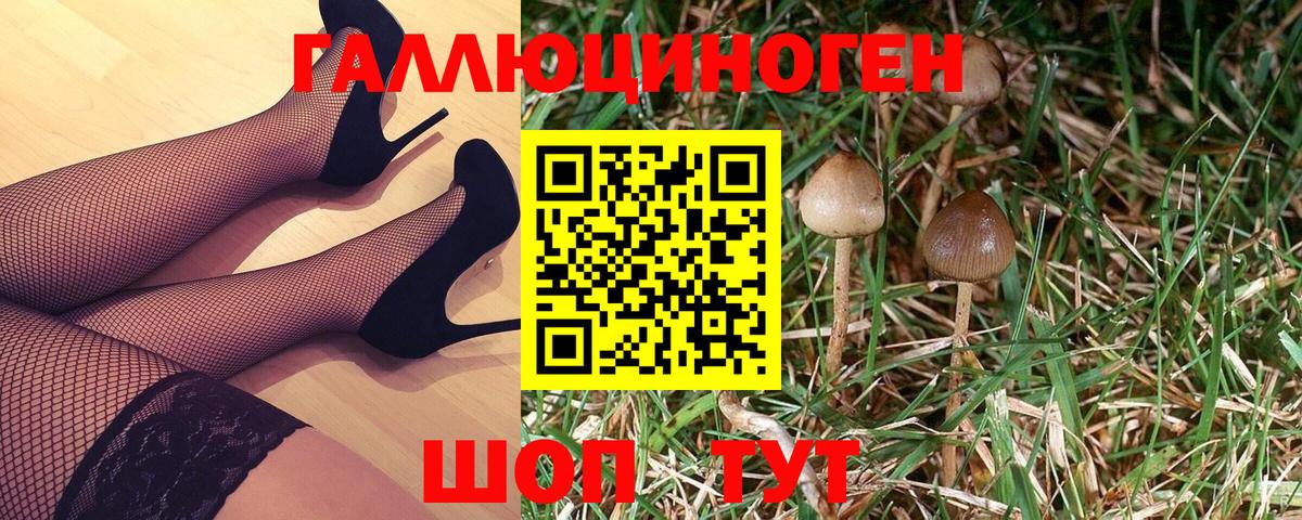 Галлюциногенные грибы ЛСД  Галлюциногенные грибы Magic Shrooms  Ейск  Вход с VPN 