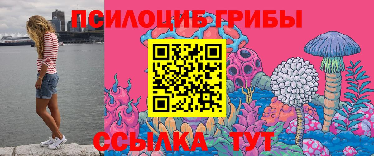 Галлюциногенные грибы Psilocybine cubensis Ейск